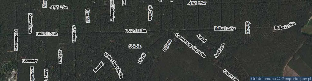 Zdjęcie satelitarne Bocianów ul.